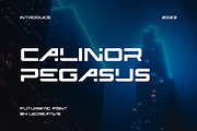 Calinor Pegasus Sans Serif Font, a Sans Serif Font by UICreative (Thumbnail 1 of 11)