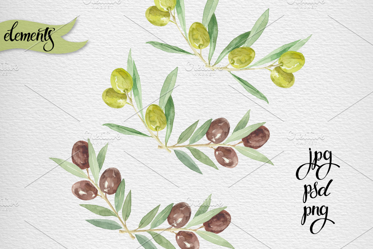 Watercolor olive set, a Food Illustration by maritime_m (Photo 3 of 6)