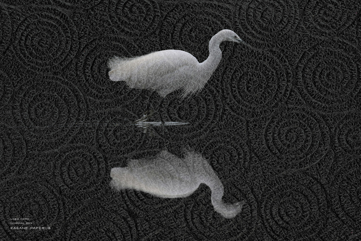 Kasane - Japanese Paper Overlays, a Texture Graphic by alonahaidash (Photo 5 of 18)