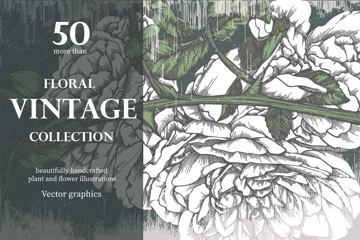 Floral vintage collection, a Texture Illustration by Mandarinkas art (Photo 1 of 9)