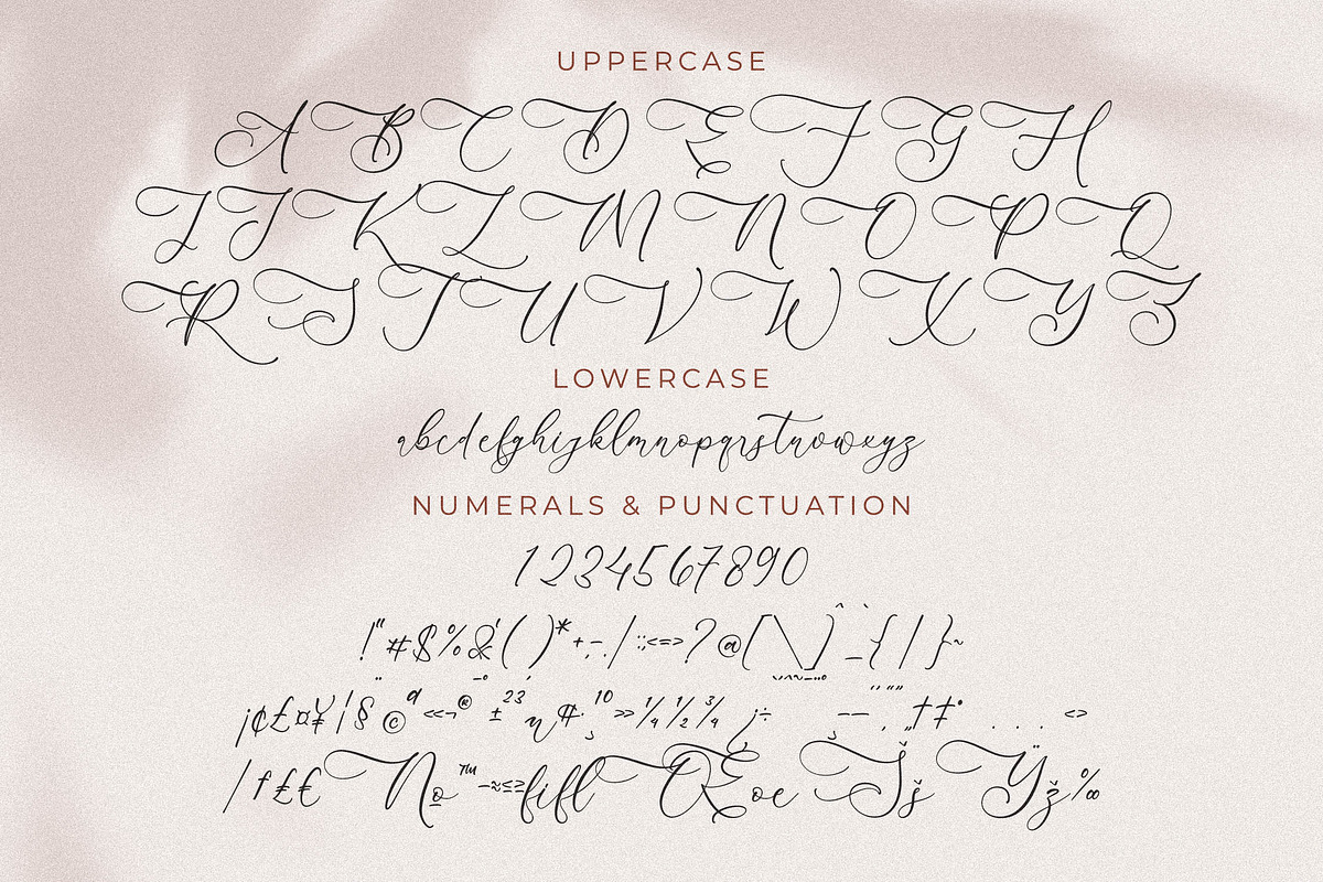Andora Modern Font Duo, a Serif Font by Storytype Studio (Photo 8 of 15)