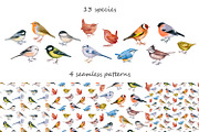 Small forest birds - vector clipart, an Animal Illustration by ViktoriArt (Thumbnail 2 of 6)