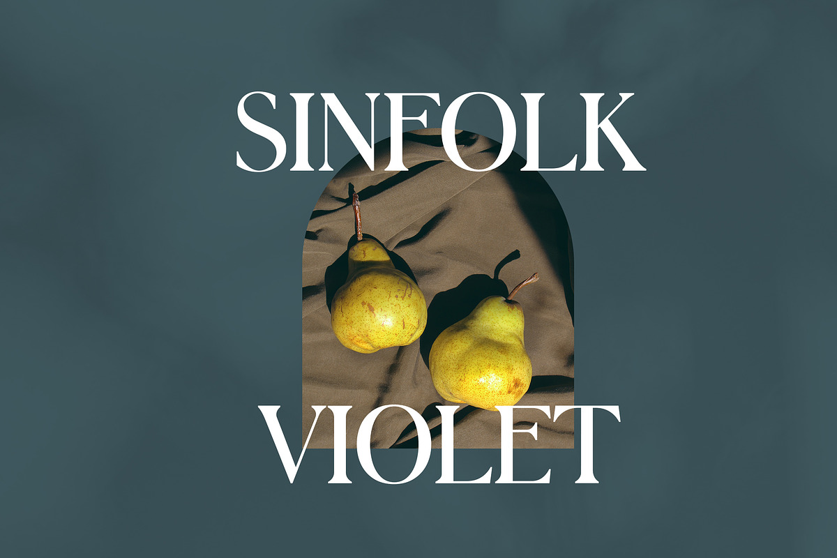 Womack Modern Classic Serif Font, a Serif Font by UICreative (Photo 7 of 12)