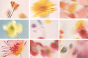 The Blurry Flowers, a Background Graphic by NKate (Thumbnail 8 of 14)
