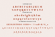 Hollymon, a Serif Font by Typegoals Studio (Thumbnail 5 of 8)
