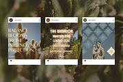 The Warrior Template Bundle, a Social Media Template by The Flossy Finch (Thumbnail 7 of 24)