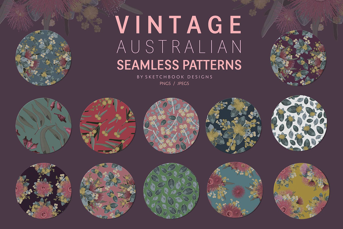 VINTAGE AUSTRALIAN WILDFLOWER SET, an Illustration by Sketchbook Designs (Photo 8 of 12)