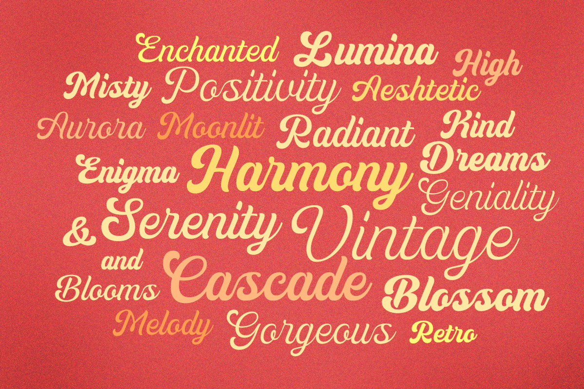 Vintage Genial | Variables Script, a Script Font by Typeskets (Photo 13 of 13)