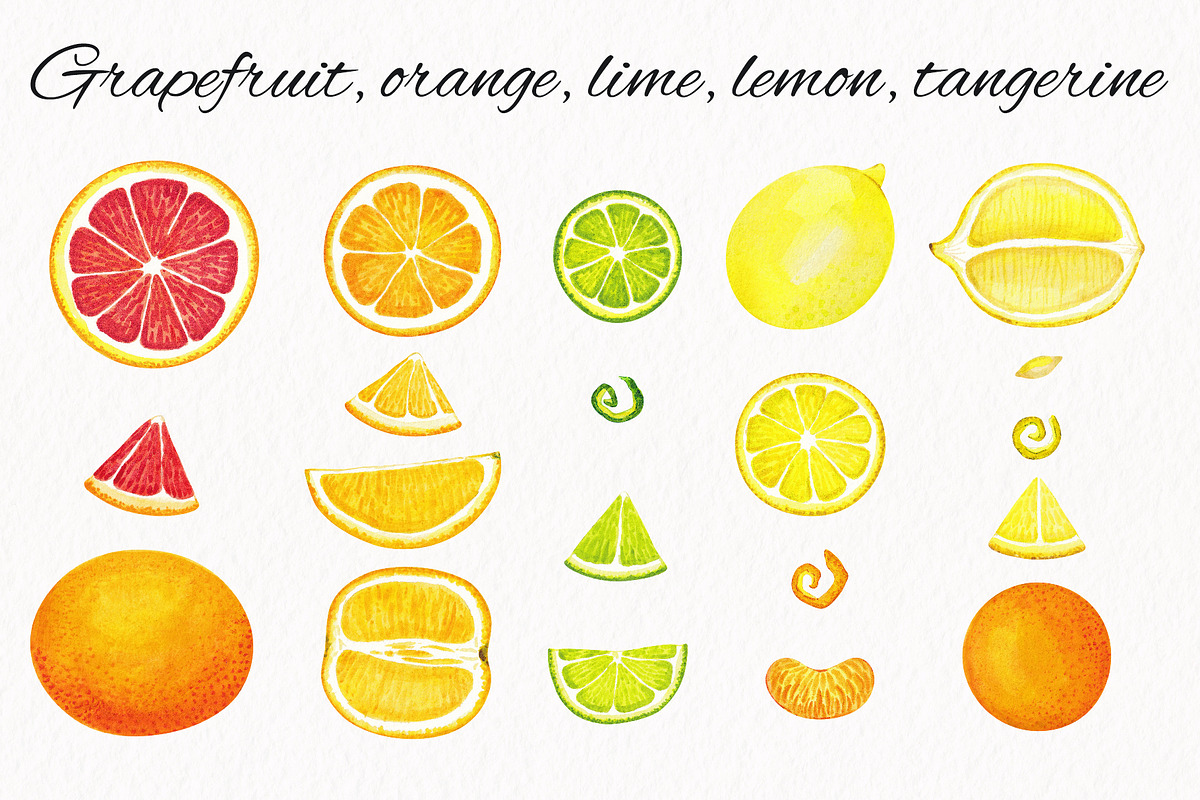Citrus. Watercolor collection, an Illustration by Kuzya's shop (Photo 2 of 9)
