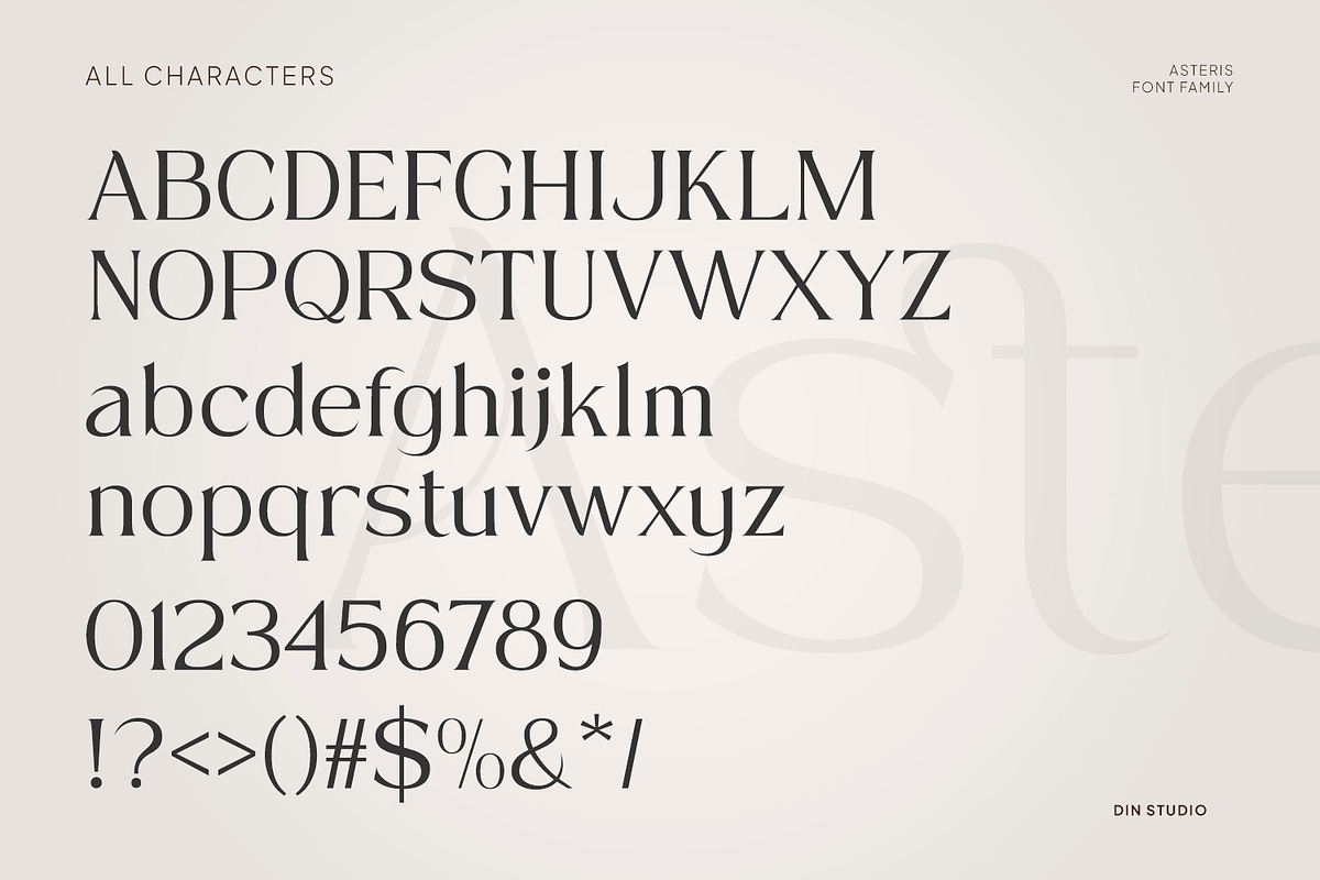 Asteris, a Serif Font by din-studio.com (Photo 6 of 11)