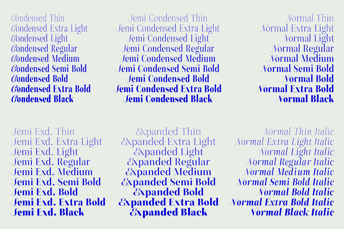 ZT Neue Ralewe Luxury Serif 90 Font, a Serif Font by zelow type (Photo 14 of 24)