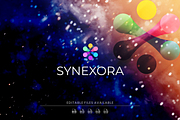 Flat Modern Symbol Logo Design, a Branding & Logo Template by Artnivora.Std (Thumbnail 2 of 2)