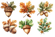 Watercolor Acorns & Oak Leaves, an Illustration by Designworld (Thumbnail 4 of 5)