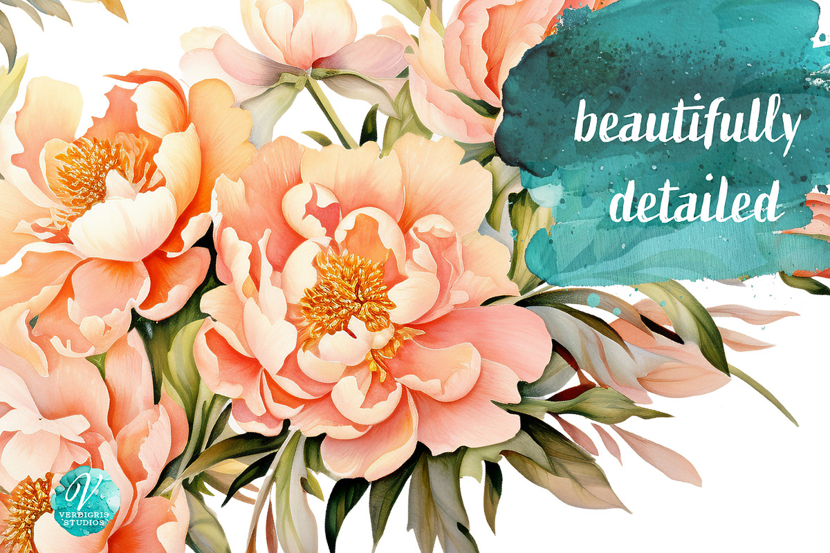 Watercolor Peach Peonies, an Object Illustration by Verdigris Studios (Photo 4 of 4)