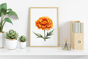 Watercolor Day of the Dead Clipart, an Illustration by Canvas Craft (Thumbnail 4 of 7)