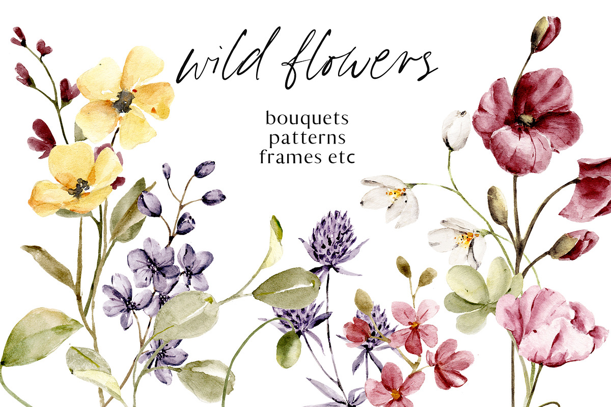Wild flowers, poppies watercolor set, a Texture Illustration by Larisa Maslova (Photo 1 of 12)