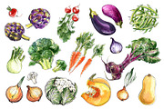 Food watercolor. Vegetables, a Food Illustration by irina.vaneeva (Thumbnail 6 of 25)