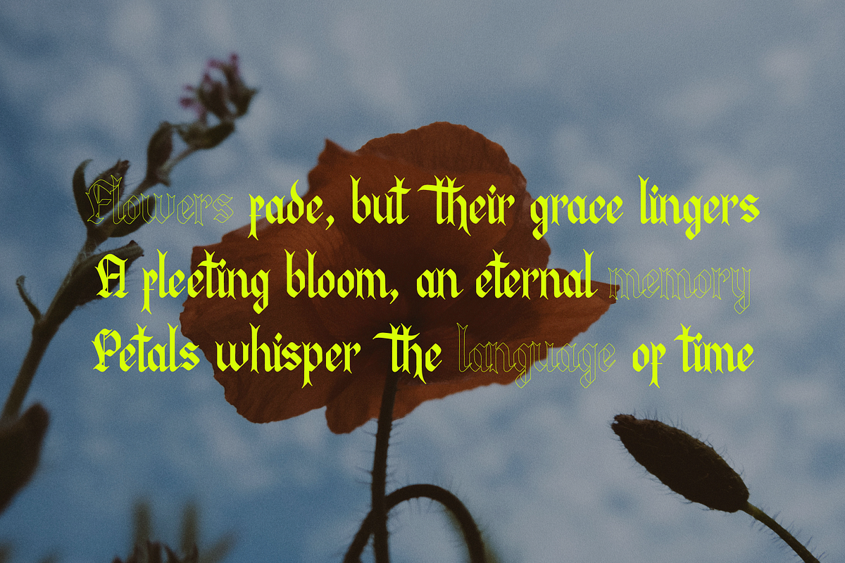 Manthra Klaussa Blackletter Typeface, a Blackletter Font by Denustudios (Photo 2 of 12)