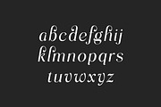 Praesdia Serif Display Font, a Serif Font by UICreative (Thumbnail 3 of 13)