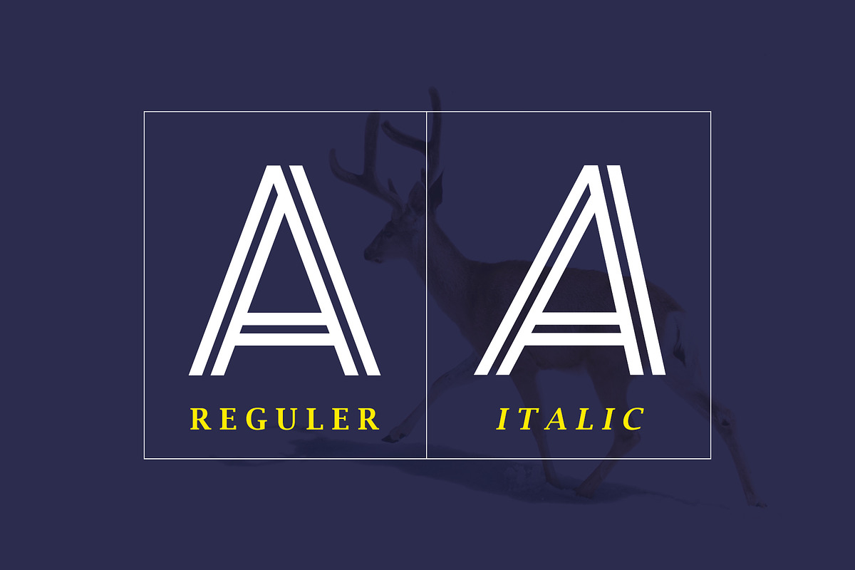 Wander Brave Modern Typeface, a Sans Serif Font by Heinzel Std (Photo 4 of 8)
