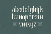 Ramone Aesthetic Serif Font, a Serif Font by Neermana (Thumbnail 5 of 5)