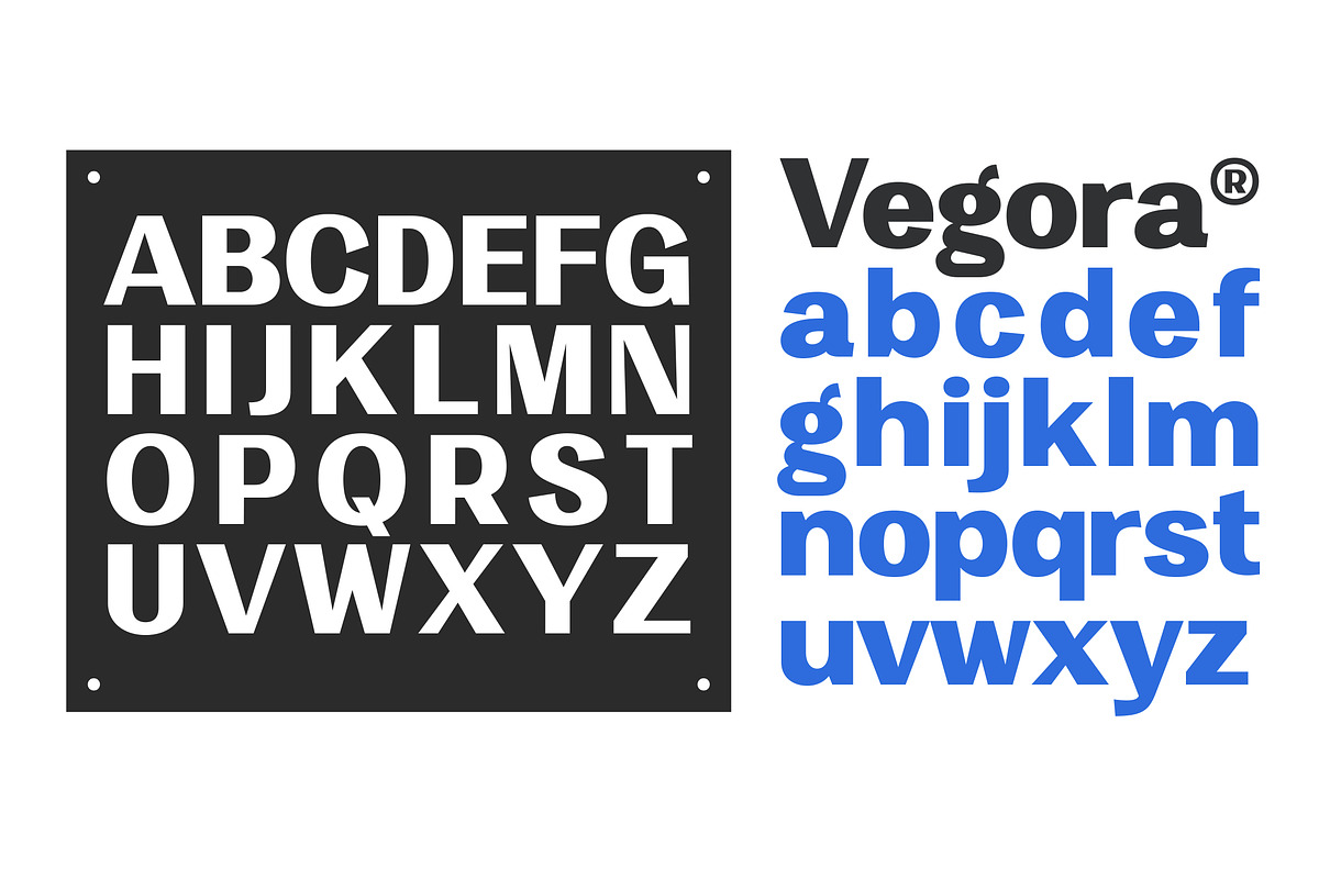 Vegora Display Sans, a Sans Serif Font by Fargun Studio (Photo 8 of 15)