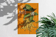 Fresh & citrus, a Food Illustration by handsketched (Thumbnail 10 of 11)