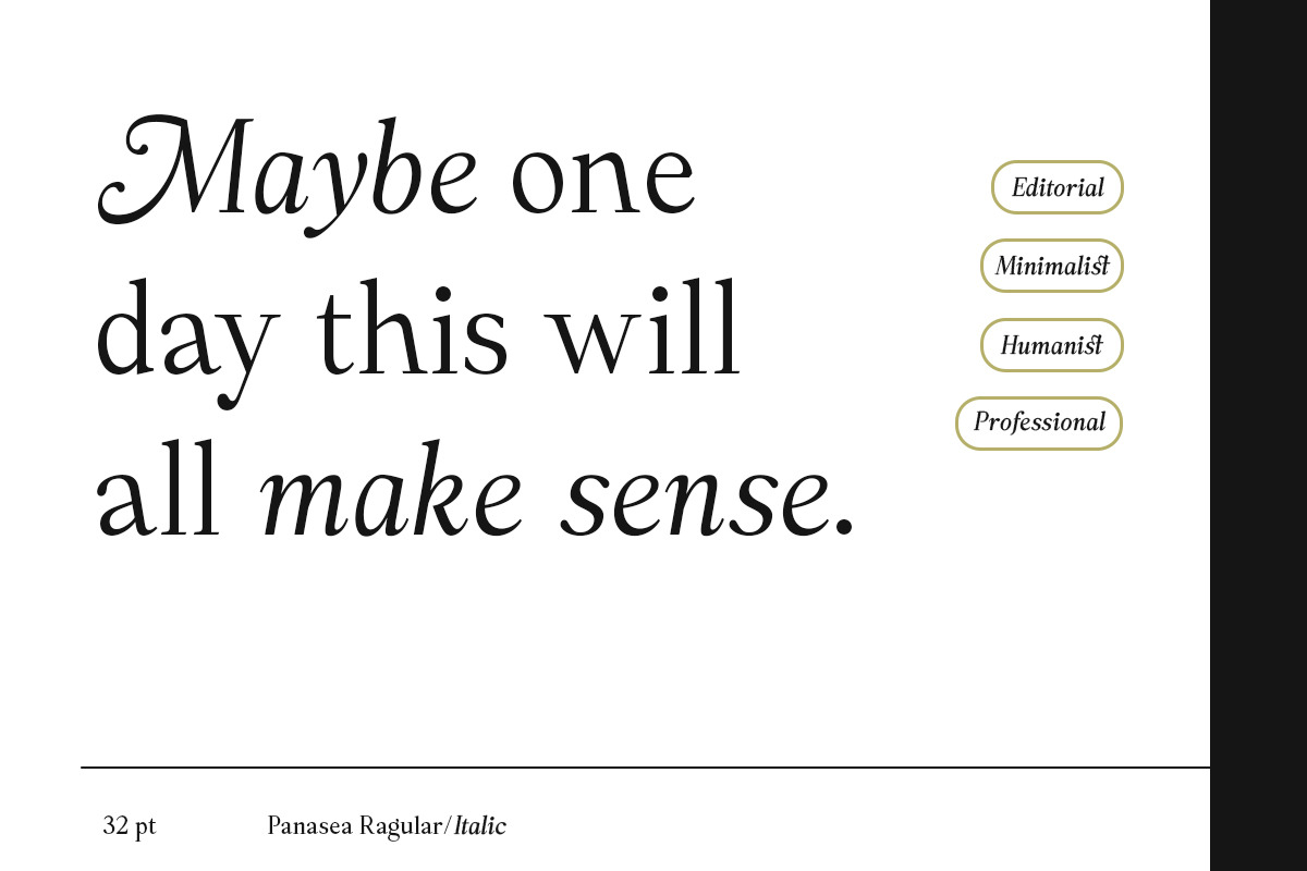 Panasea | 12 Fonts, a Serif Font by Skinny Type (Photo 6 of 15)