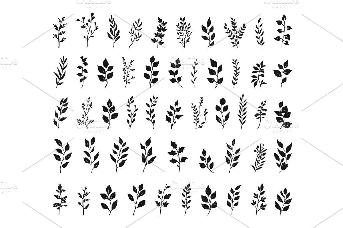 Branches and Leaves Set Hand Drawn, an Object Illustration by LadadikArt