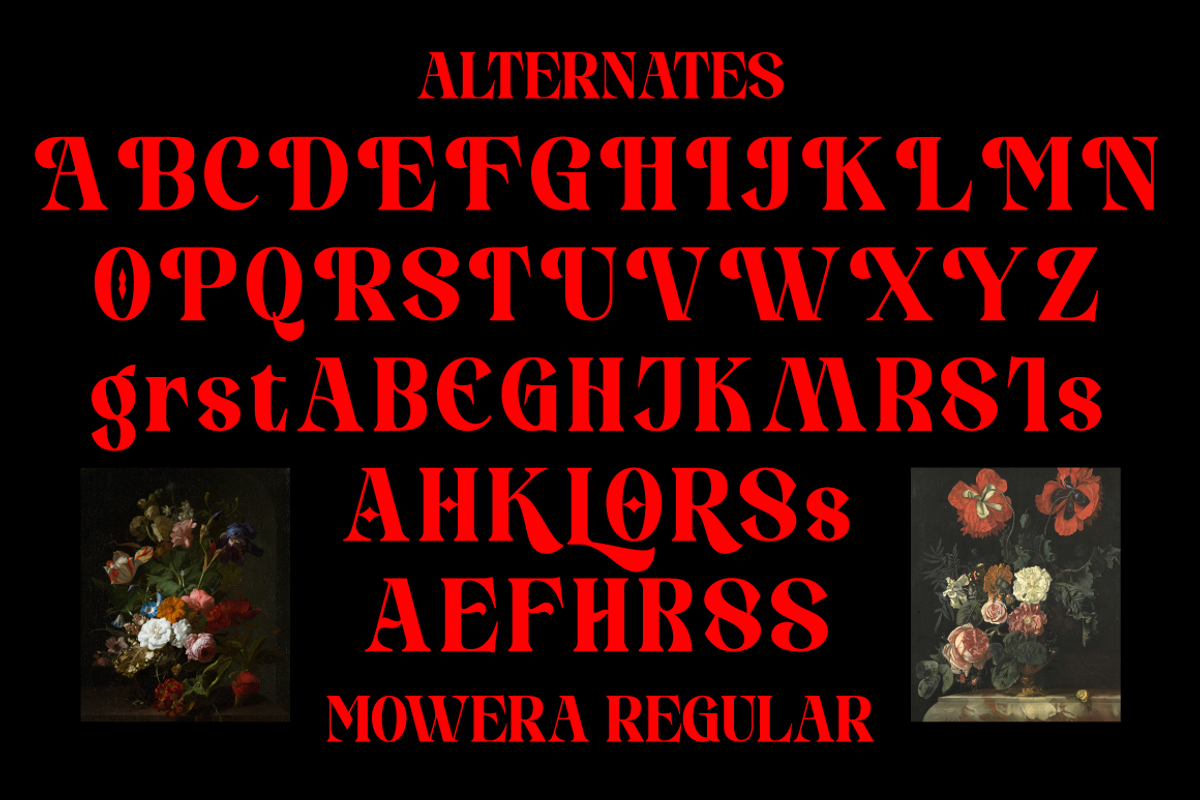 Mowera - Bold Serif, a Serif Font by tebaltipislab (Photo 13 of 15)