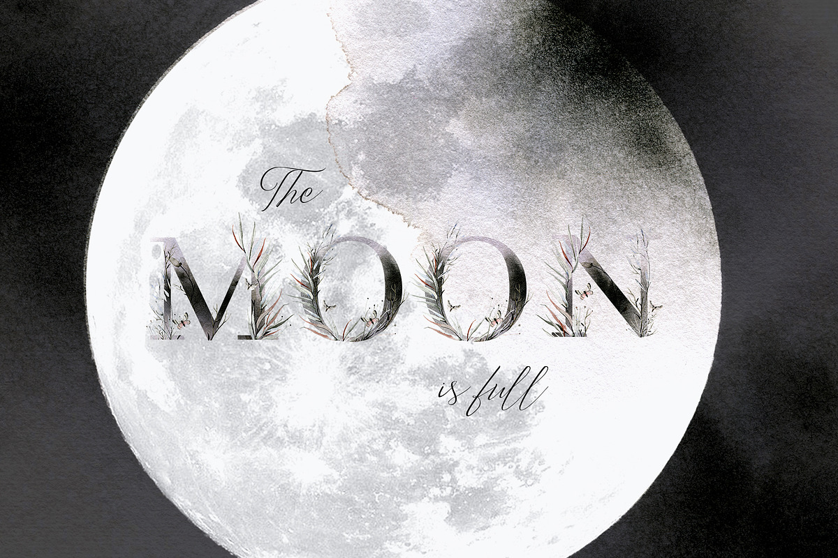 Queen of the Night Alphabet, a Texture Illustration by Bibela (Photo 7 of 7)