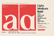 Epicus - Serif font family, a Font by Artistic & Unique (Thumbnail 4 of 14)