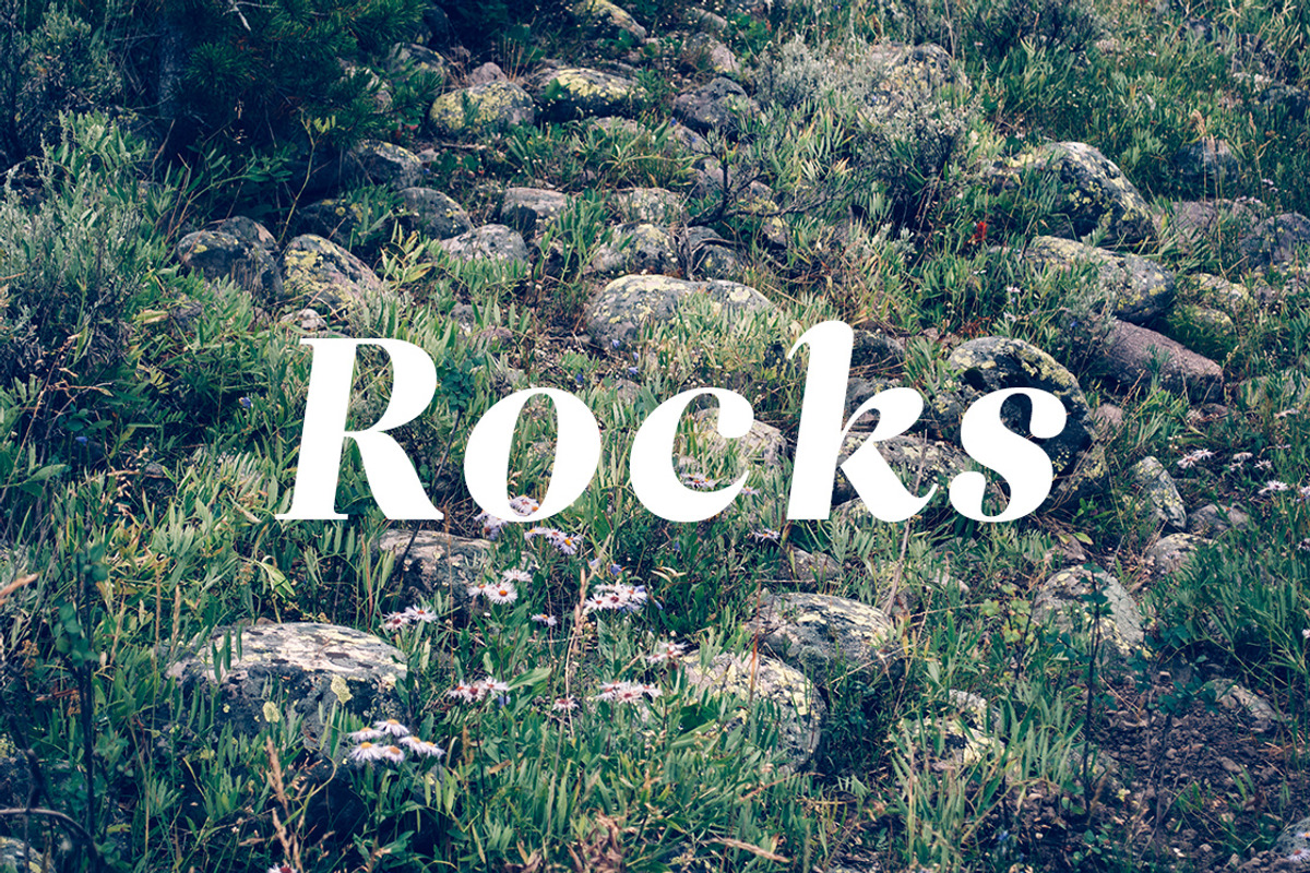 36 Lichen Textures preview 5