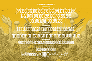 Dawnee Thrash Metal Display Font, a Font by Ronny Studio (Thumbnail 9 of 9)