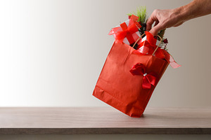 Conceptual detail of Christmas shopping with hand holding red ba, a Holiday Photo by Davizro's Market