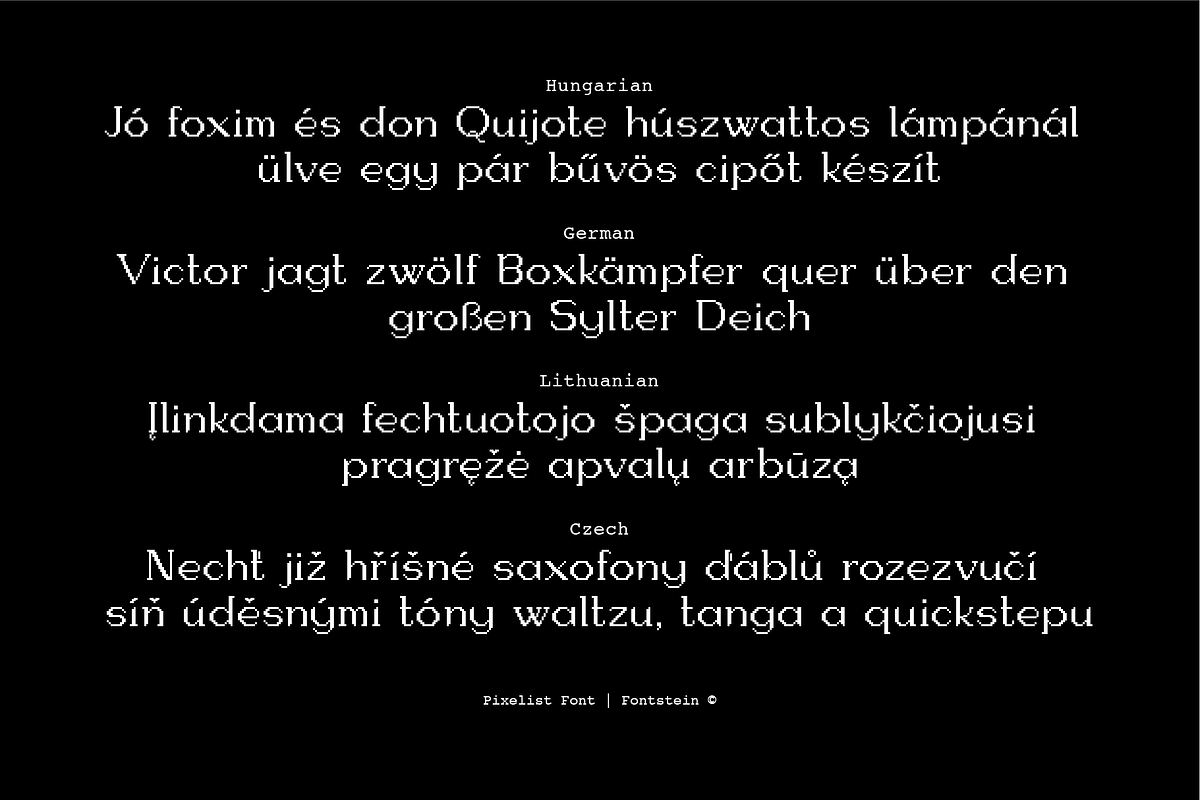 PIXELIST | Pixel taste display font, a Serif Font by Fontstein (Photo 9 of 13)