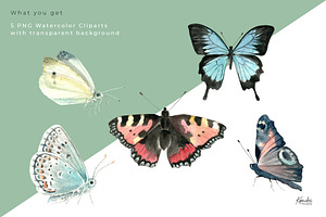 Butterfly Watercolor Cliparts