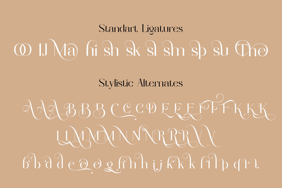 Mislian, a Serif Font by LuhopCreative (Photo 6 of 13)