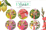 The Exotic Lemon Collection, an Object Illustration by Alisa Mikibith Art (Thumbnail 4 of 18)