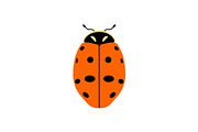 Seven Spot Ladybug Insect, a Solid Icon by Buqancreative (Thumbnail 1 of 2)