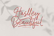 Haslley Beautiful Monoline, a Script Font by Wortfice (Thumbnail 1 of 17)