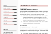 Professional Resume CV Template, a Resume Template by GResume (Thumbnail 7 of 7)