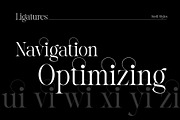 Reichamerina font family, a Serif Font by Ryul Davidson (Thumbnail 20 of 27)