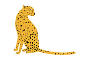 Cheetah Vector Pack, an Animal Illustration by Brunch Club Design (Thumbnail 5 of 6)