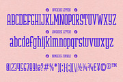 Sevslab, a Slab Serif Font by graphicook (Thumbnail 2 of 10)