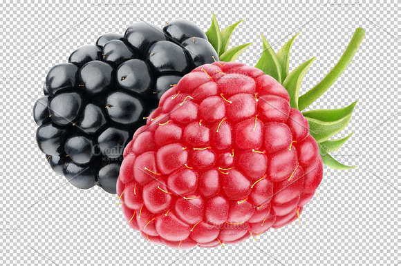 Raspberry And Blackberry