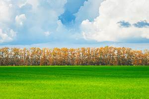 green grass field with blue sky and, a Nature Photo by AlexBush