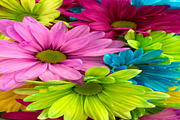 3D Decorative Backgrounds Pack 10, a Textures & Material 3D Model by Temer (Thumbnail 2 of 10)