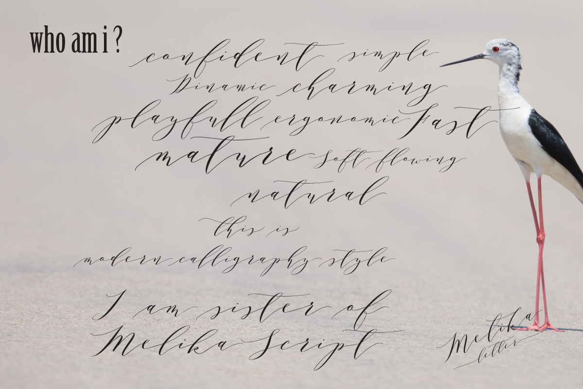 Free Download - Script Fonts