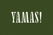 Yamas | A Soft Modern Serif Font, a Serif Font by Taylor Penton (Thumbnail 2 of 6)